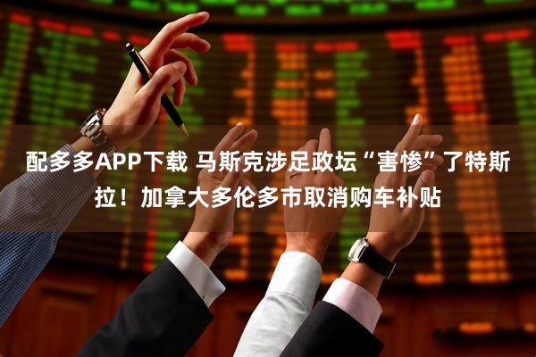 配多多APP下载 马斯克涉足政坛“害惨”了特斯拉！加拿大多伦多市取消购车补贴