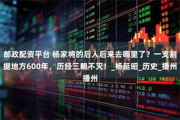 邮政配资平台 杨家将的后人后来去哪里了？一支割据地方600年，历经三朝不灭！_杨延昭_历史_播州